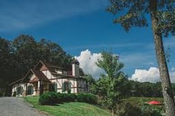 Engelheim Vineyards