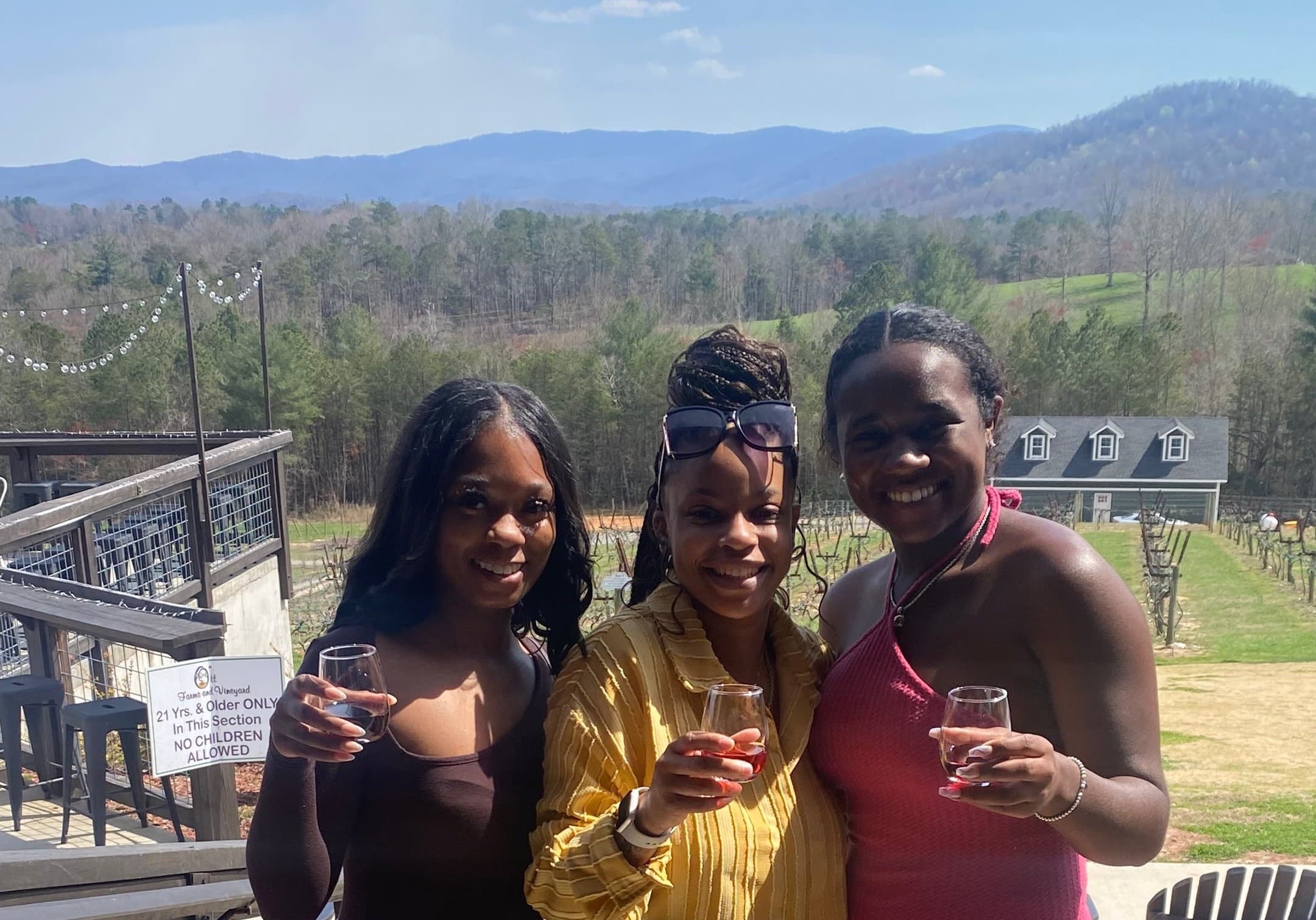 Group planning a private wine tour from Atlanta to North Georgia wine country