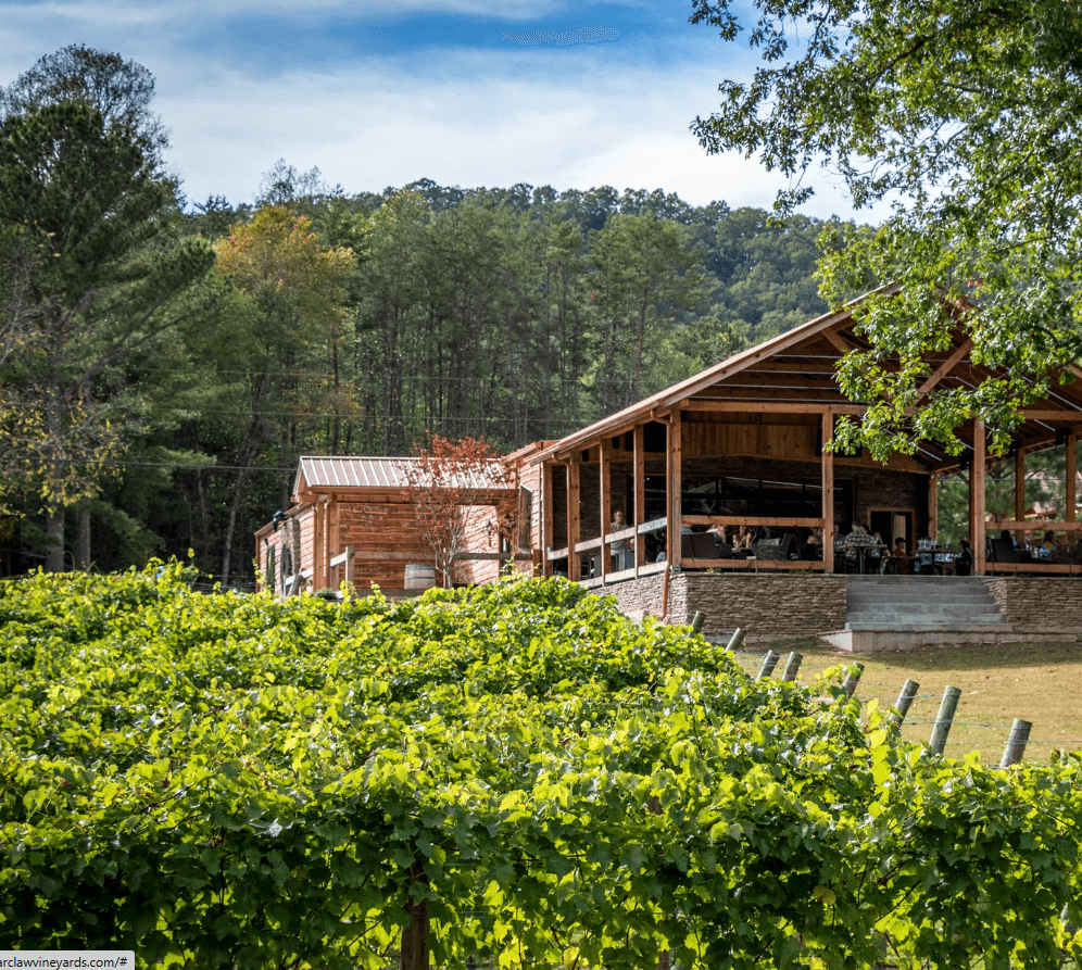 Blue Ridge winery tour Sprinter van with mountain backdrop