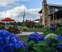 Cavender Creek Vineyards