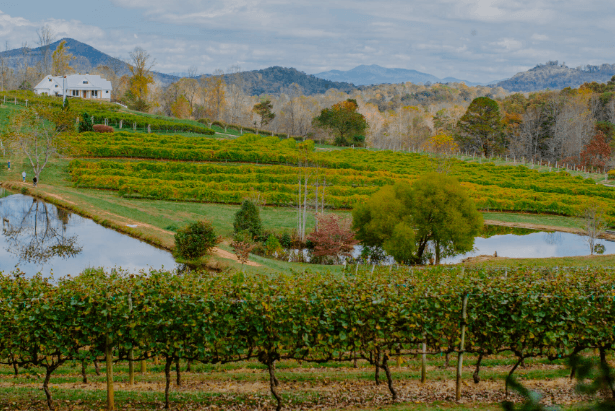 Private wine trip georgia blue ridge mountain route