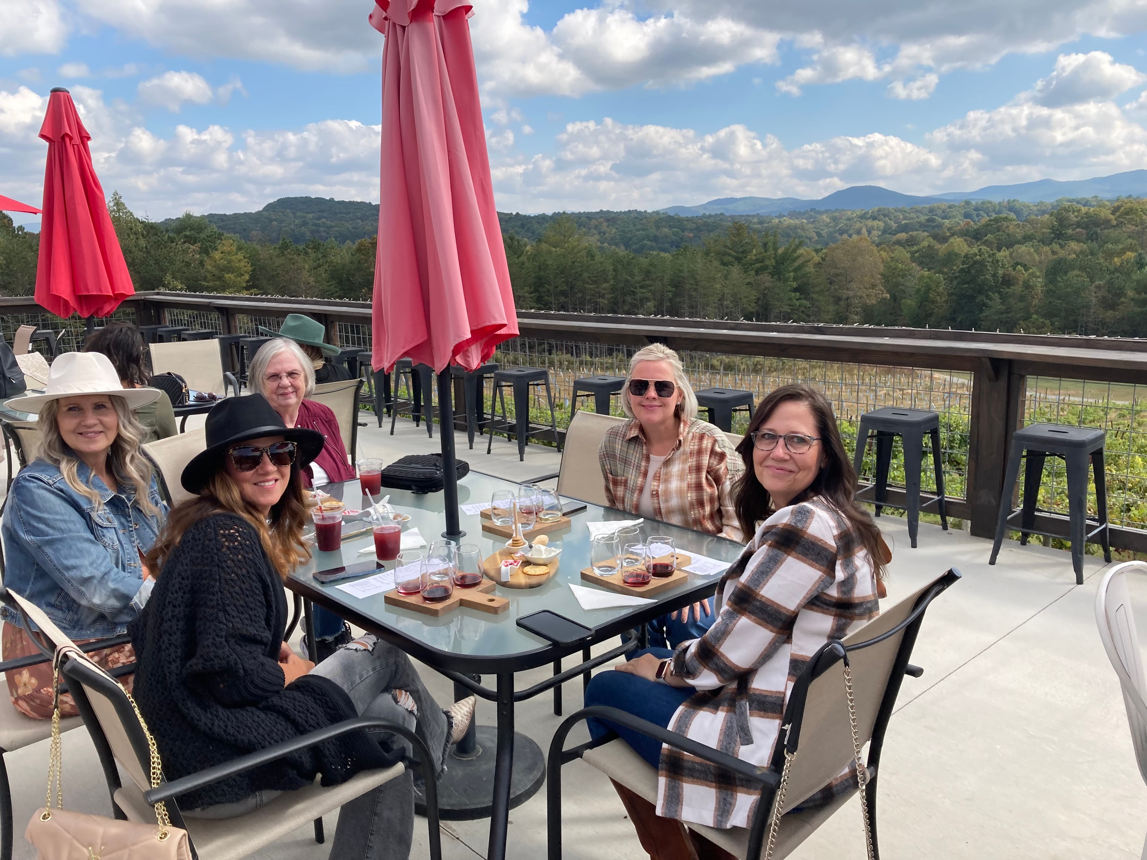 Dahlonega vineyard on private wine route