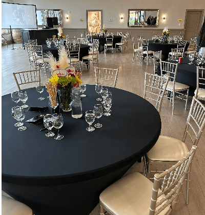 North Georgia vine rows and mountain country setting for Ellijay estate weddings