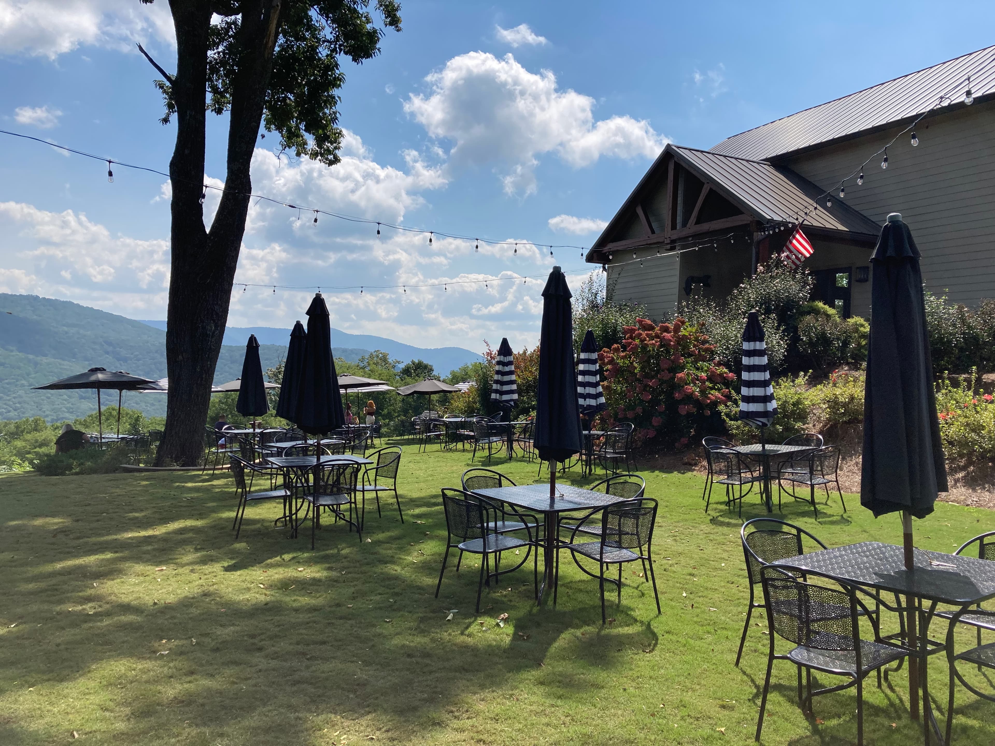 Regional wine country for combined Ellijay and Dahlonega wedding weekends