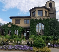 Montaluce estate setting for Dahlonega winery wedding transportation