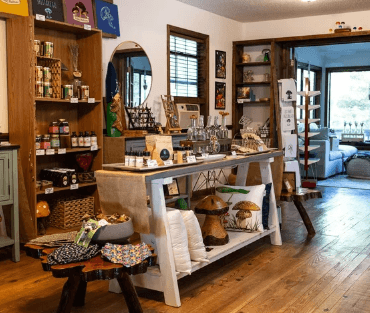 Blue Ridge Wine Excursions Guide