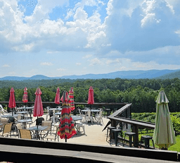 Otts Farm & Vineyard